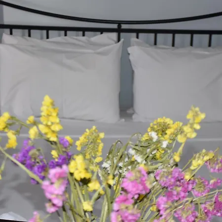 Aeriko Guest house *